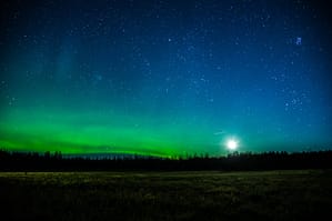 timeline August 20145